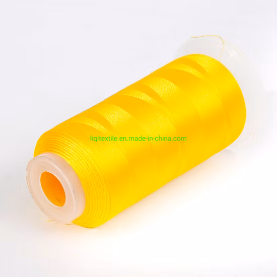 Embroidery for Logo and Pattern. Tex27 (120D/2) etc. 100% Polyester Embroidery Thread for Algeria Market